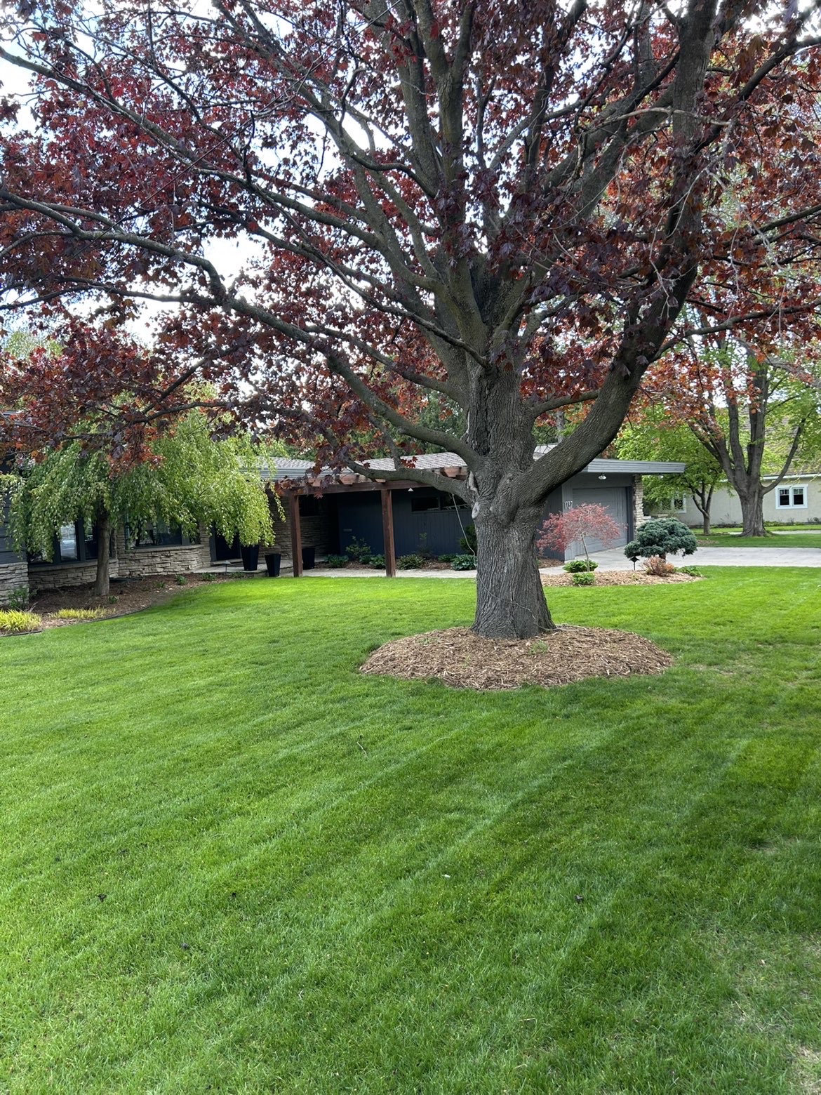 Mowing